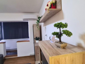 Cozy Apartment- zona centrala